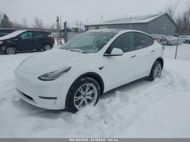 7SAYGDEE3PA083364  tesla model y 2023 IMG 1