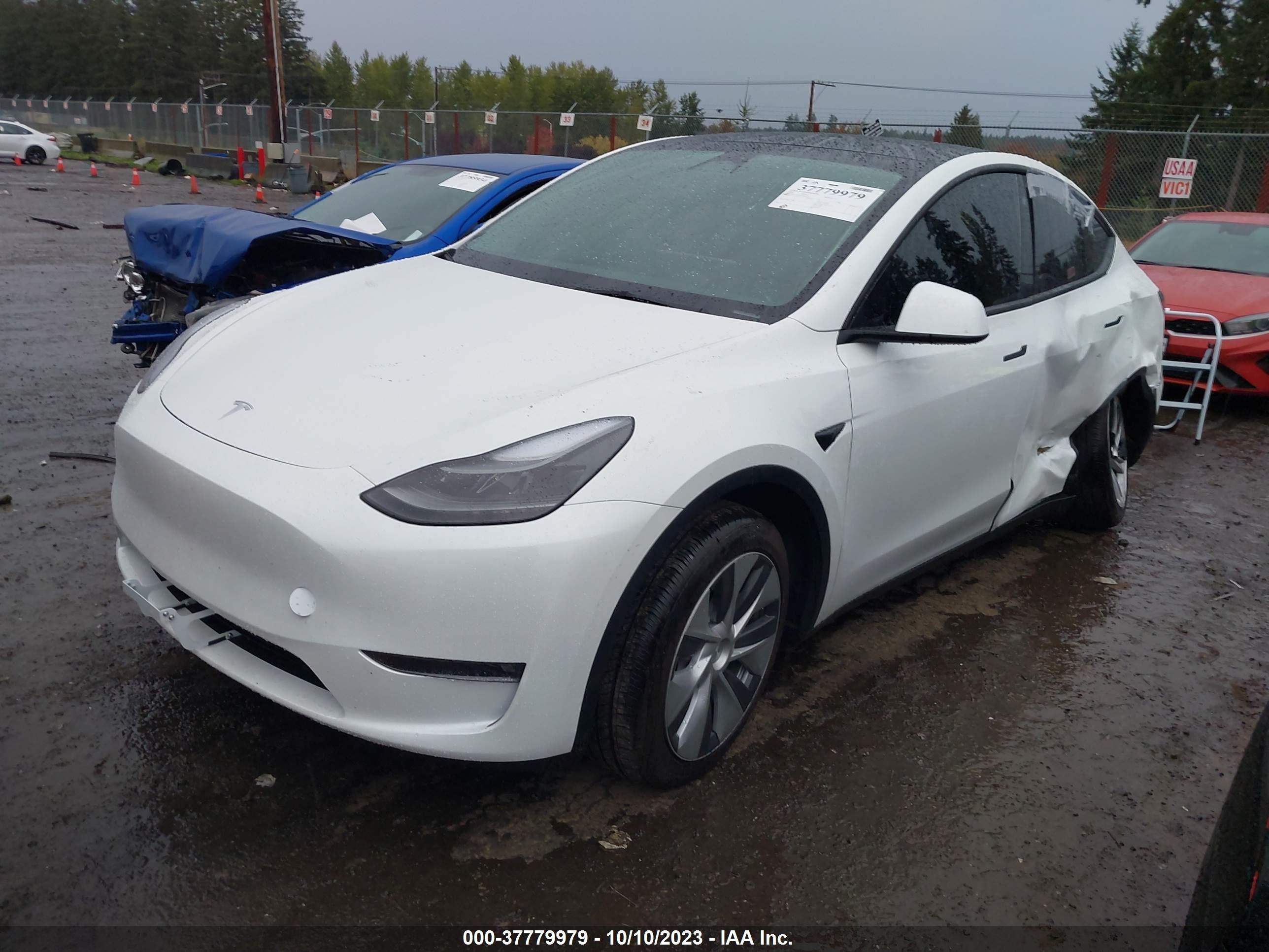 7SAYGDEE3PF646724  tesla model y 2023 IMG 1