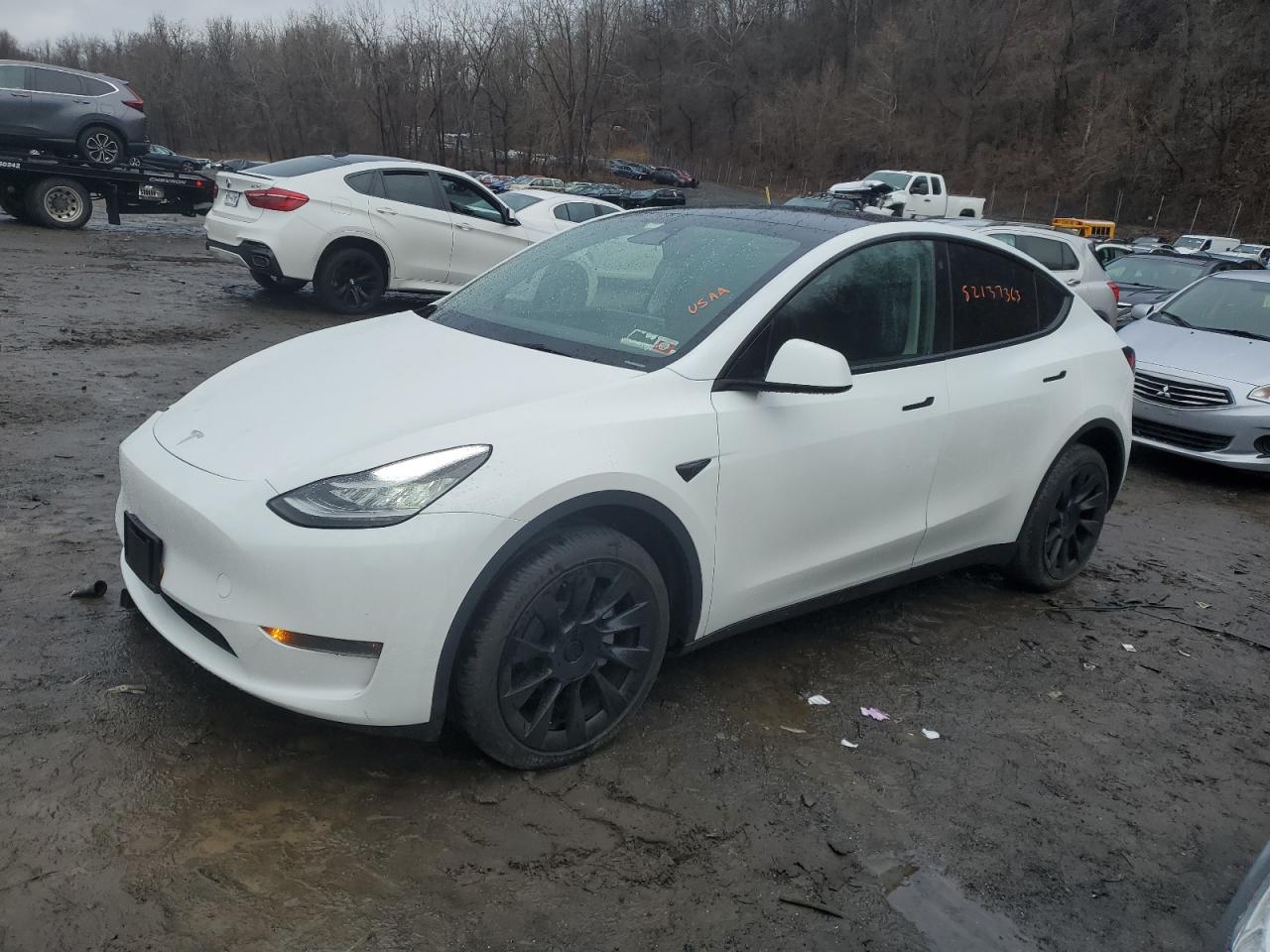 7SAYGDEE4PA070817  tesla model y 2023 IMG 0