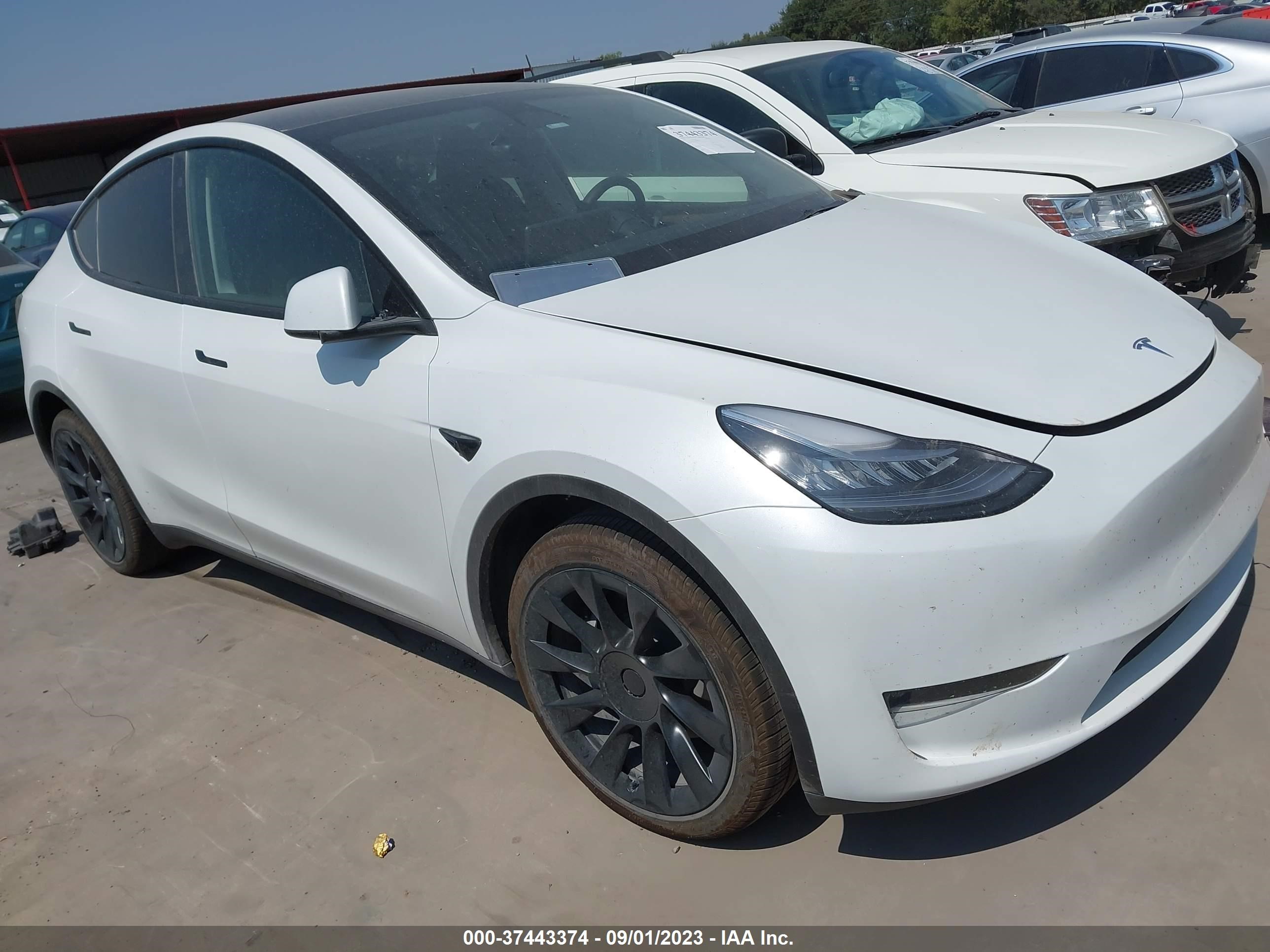 7SAYGDEE4PA076326  tesla model y 2023 IMG 0