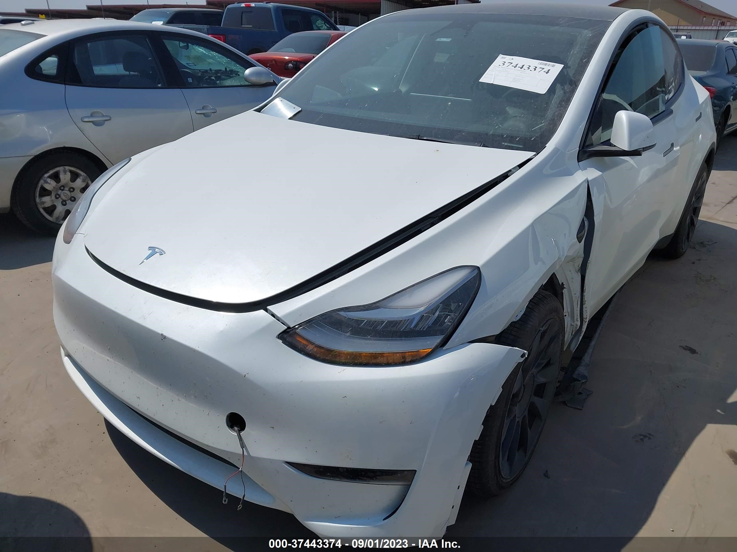 7SAYGDEE4PA076326  tesla model y 2023 IMG 1