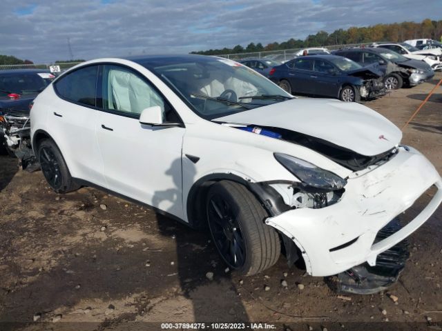 7SAYGDEE5PF690384  tesla model y 2023 IMG 0