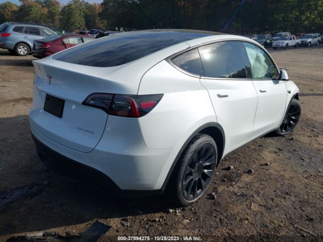 7SAYGDEE5PF690384  tesla model y 2023 IMG 3