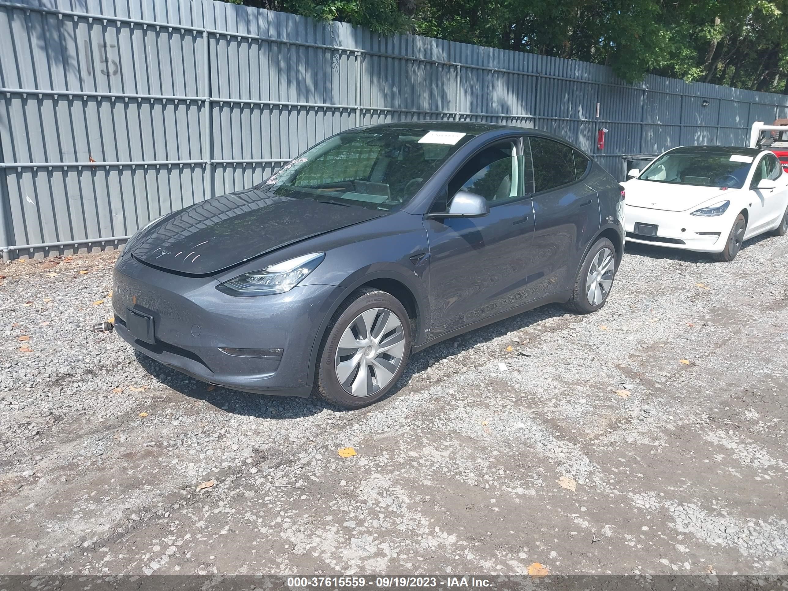 7SAYGDEE7PA120450  tesla model y 2023 IMG 1