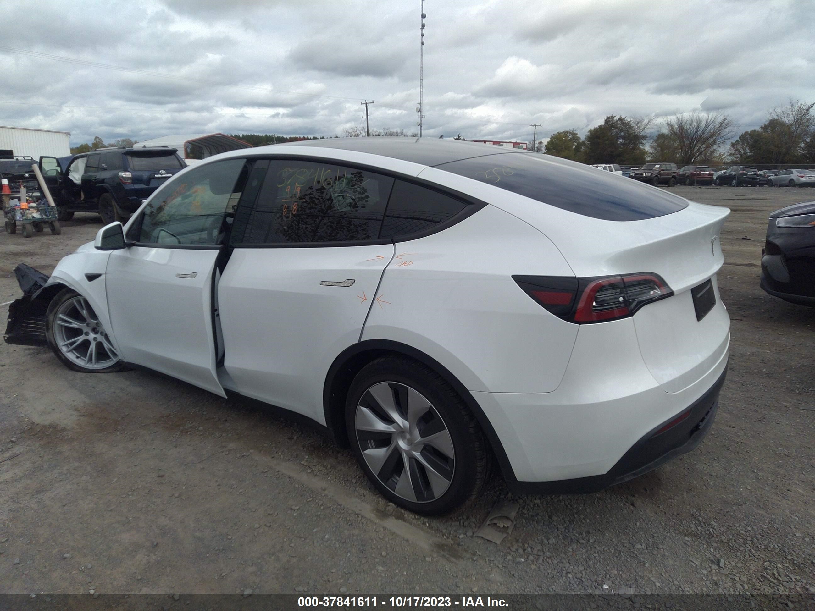 7SAYGDEE9PF797518  tesla model y 2023 IMG 2