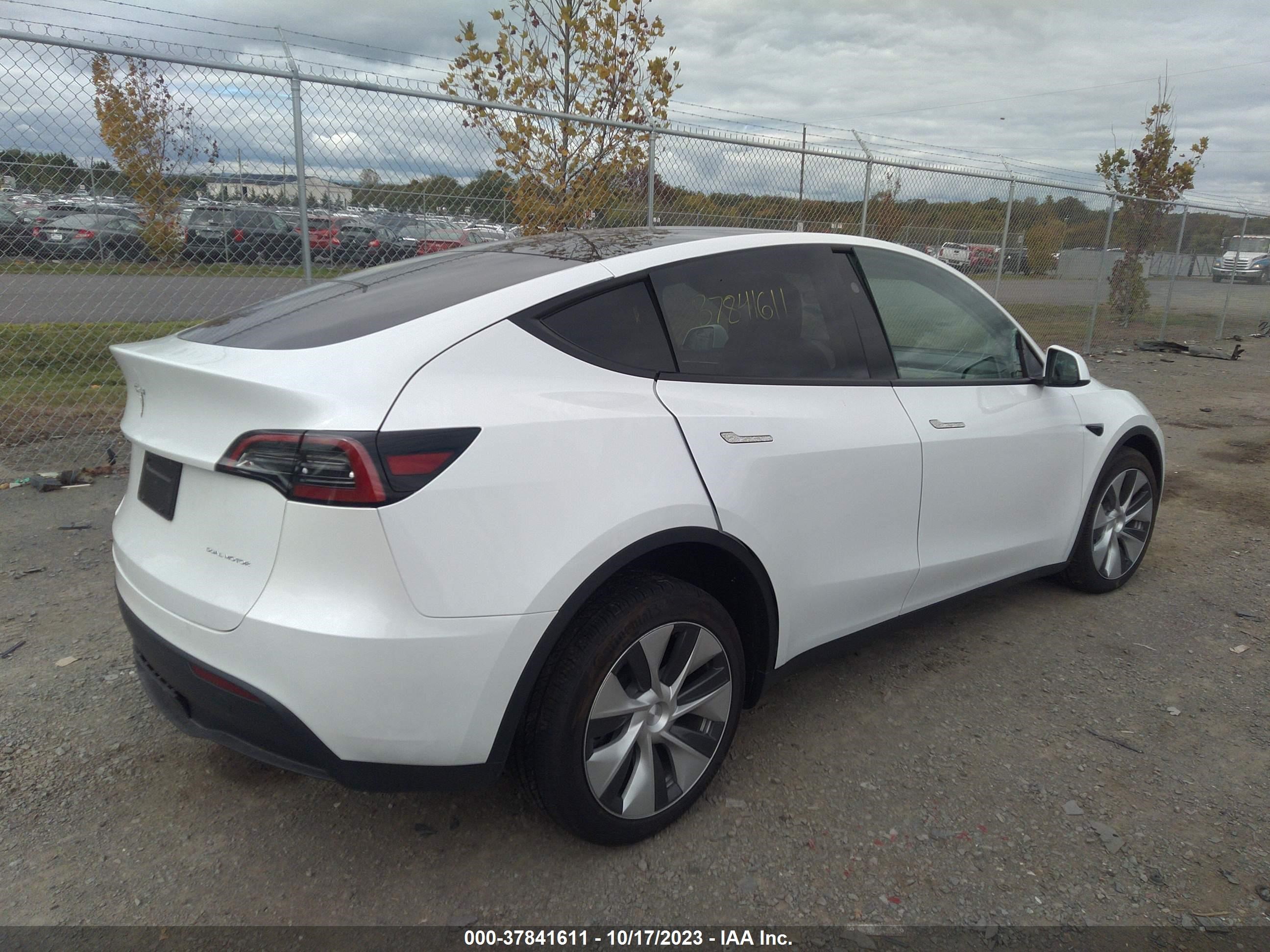 7SAYGDEE9PF797518  tesla model y 2023 IMG 3