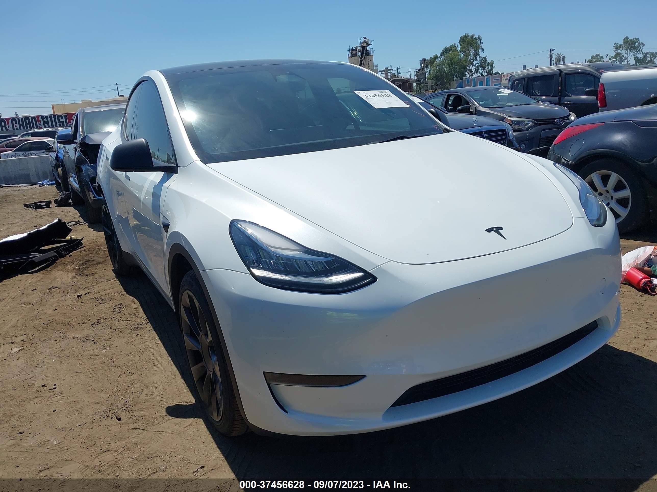 7SAYGDEEXPA059935  tesla model y 2023 IMG 0