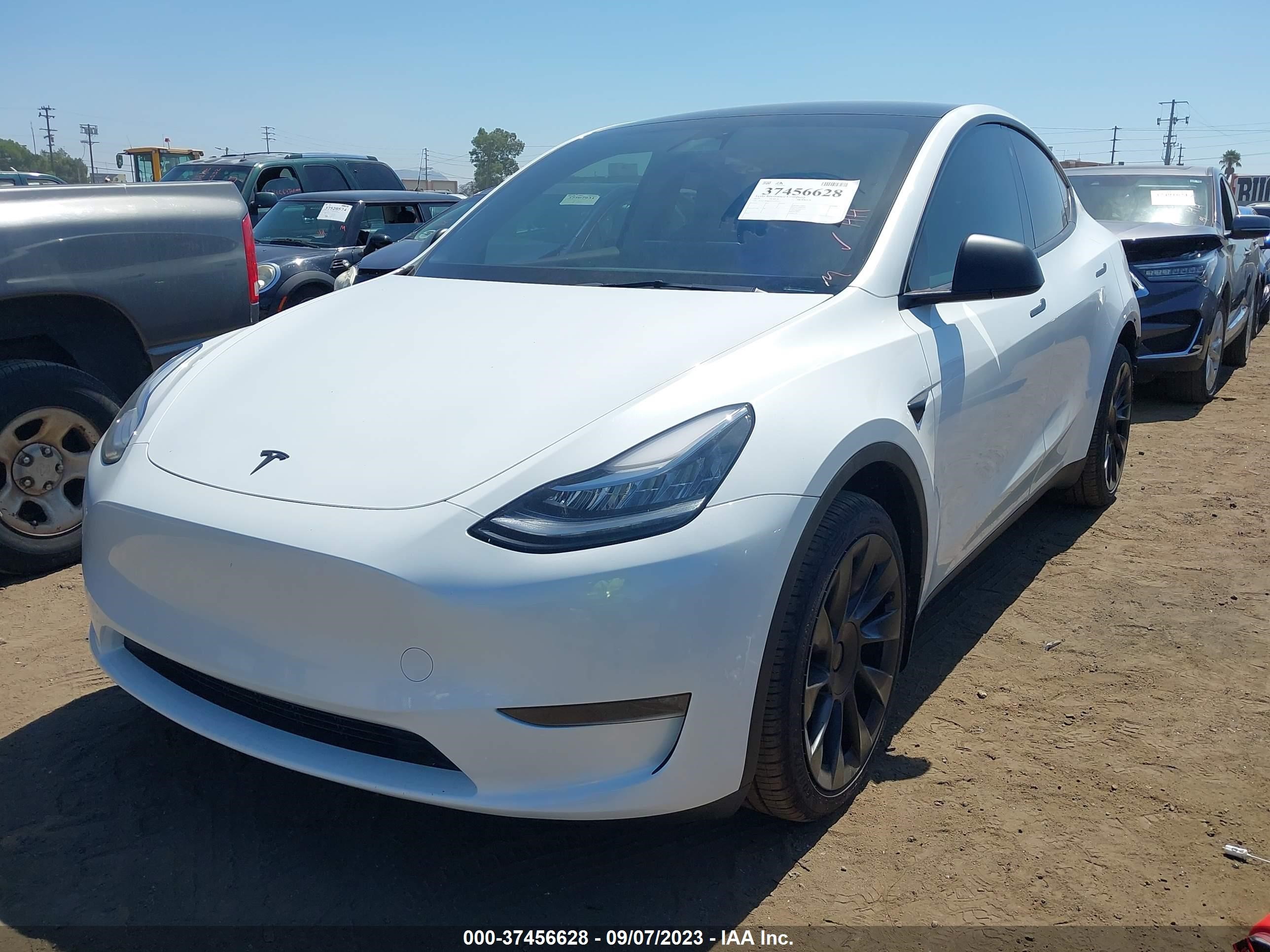 7SAYGDEEXPA059935  tesla model y 2023 IMG 1