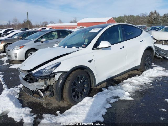 7SAYGDEEXPA080767  tesla model y 2023 IMG 1