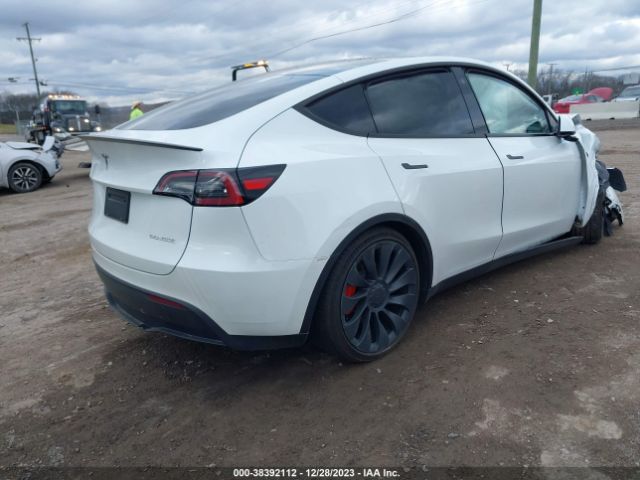 7SAYGDEF5PF779865  tesla model y 2023 IMG 3