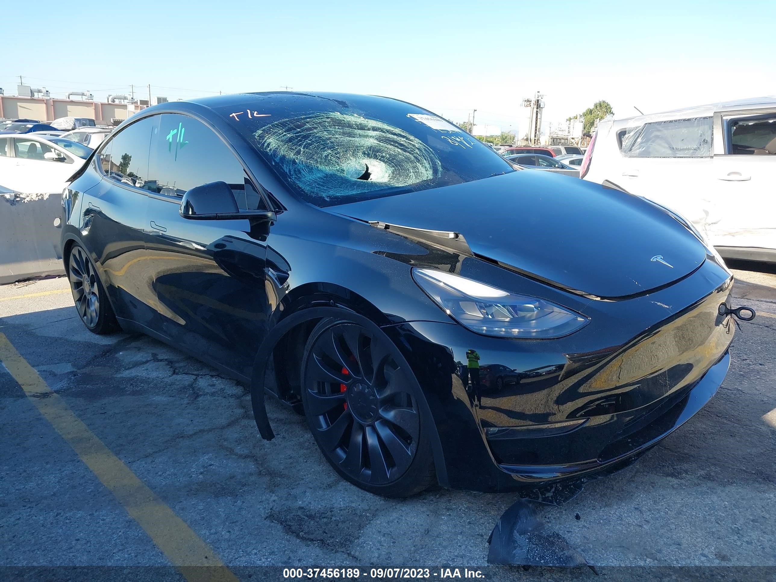 7SAYGDEF8PF745841  tesla model y 2023 IMG 0