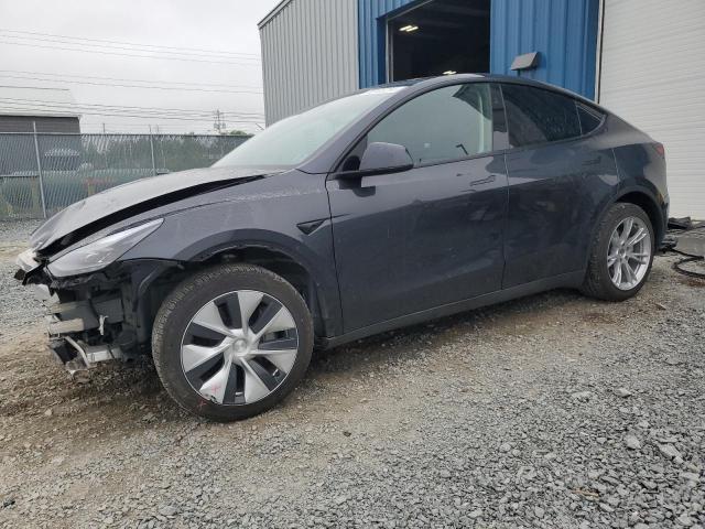 7SAYGDED2RF016204  tesla model y 2024 IMG 0