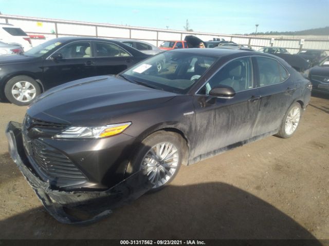 4T1B21HK7KU516412  toyota camry 2019 IMG 1