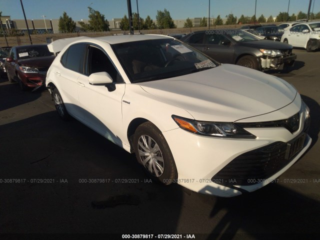 4T1B31HK5KU509536  toyota camry 2019 IMG 0