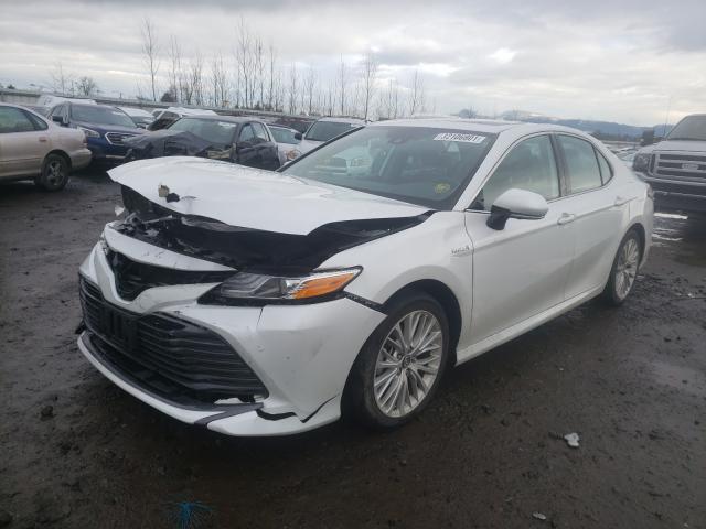 4T1B21HK7KU516295  toyota camry hybr 2019 IMG 1