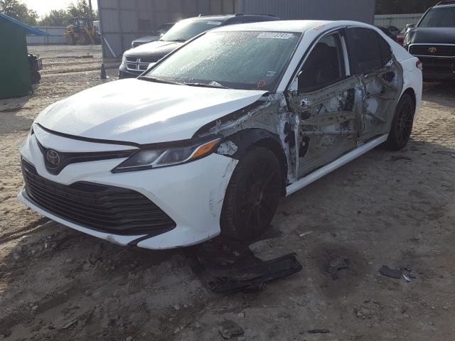 4T1B11HK5KU835634  toyota camry l 2019 IMG 1