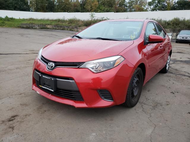 2T1BURHEXFC442784  toyota corolla l 2015 IMG 1