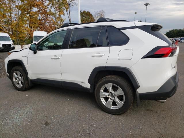 2T3RWRFV2KW022111  toyota rav4 2019 IMG 1