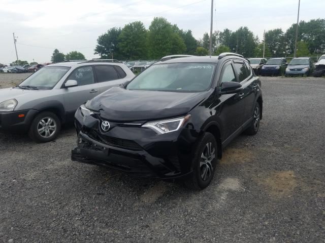 2T3BFREV2GW462842  toyota rav4 le 2016 IMG 1