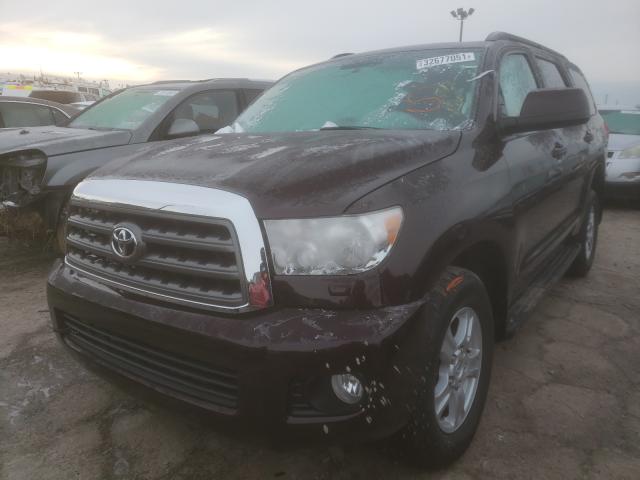 5TDZY5G15GS066496  toyota sequoia 2016 IMG 1