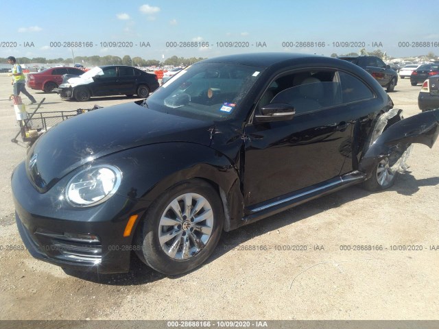 3VWFD7AT0KM713560  volkswagen beetle 2019 IMG 1