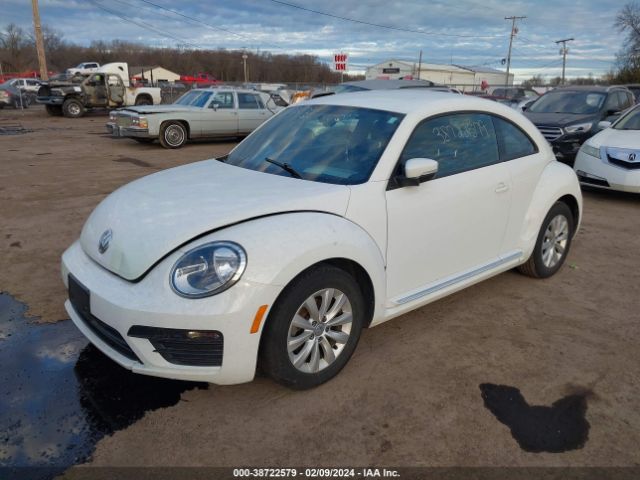 3VWFD7AT2KM709283  volkswagen beetle 2019 IMG 1