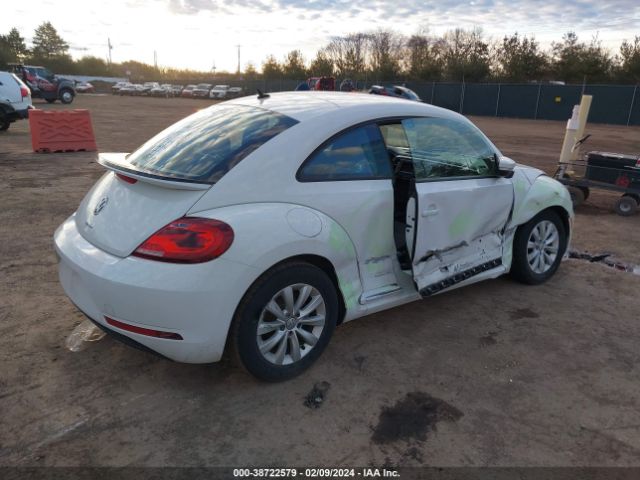 3VWFD7AT2KM709283  volkswagen beetle 2019 IMG 3