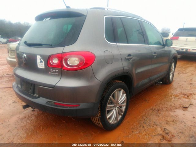 WVGBV9AX2AW510600  volkswagen tiguan 2010 IMG 3