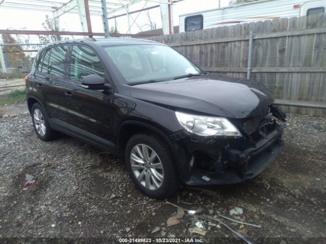 WVGAV7AX5AW528878  volkswagen tiguan 2010 IMG 0