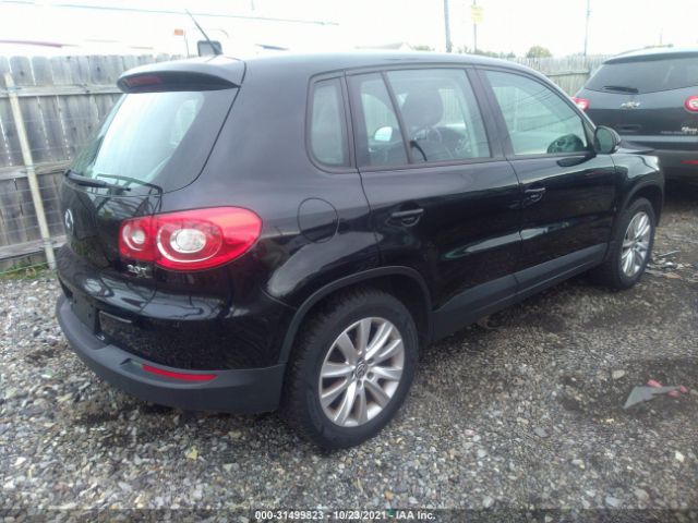 WVGAV7AX5AW528878  volkswagen tiguan 2010 IMG 3