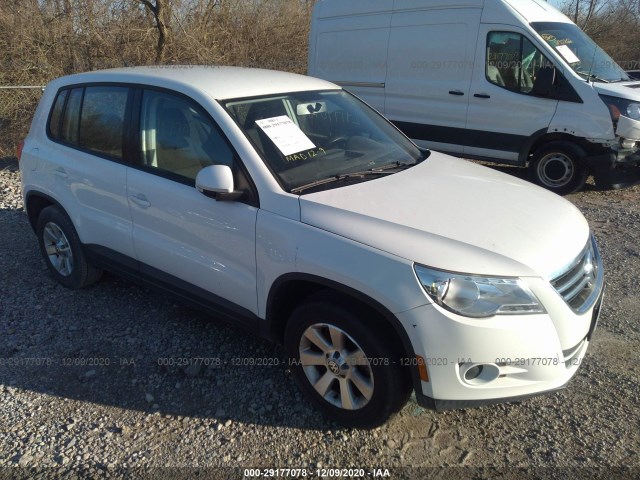 WVGAV7AX7AW524993  volkswagen tiguan 2010 IMG 0