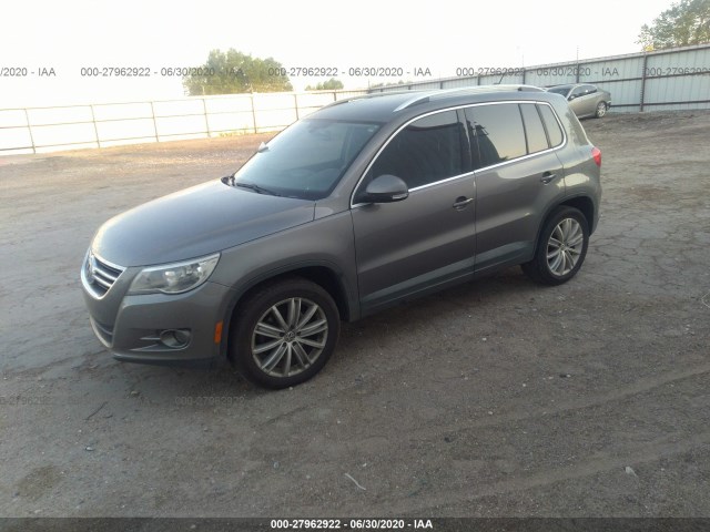 WVGAV7AX7AW536481  volkswagen tiguan 2010 IMG 1