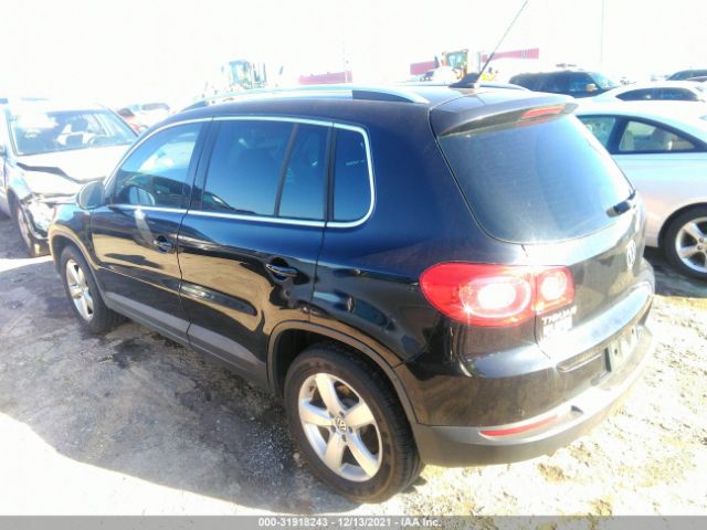 WVGAV9AX4AW530245  volkswagen tiguan 2010 IMG 2