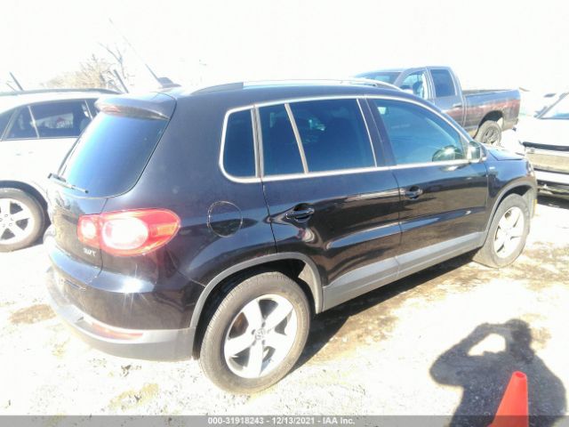 WVGAV9AX4AW530245  volkswagen tiguan 2010 IMG 3