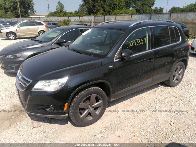 WVGBV7AX1AW530423  volkswagen tiguan 2010 IMG 1