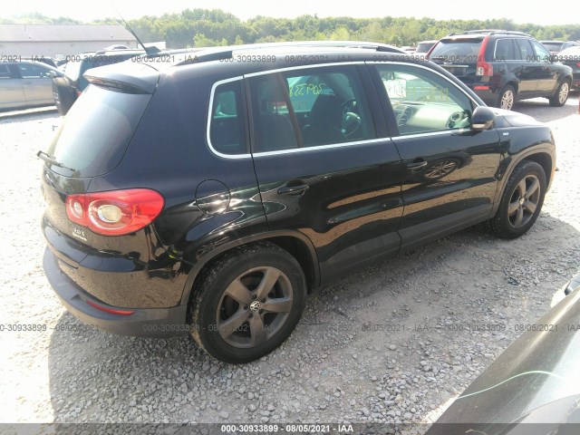 WVGBV7AX1AW530423  volkswagen tiguan 2010 IMG 3