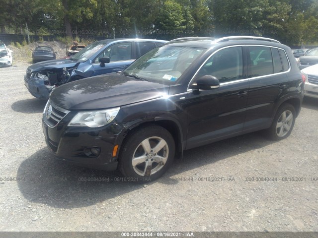 WVGBV7AX2AW528969  volkswagen tiguan 2010 IMG 1