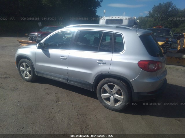 WVGBV7AX2AW532648  volkswagen tiguan 2010 IMG 2