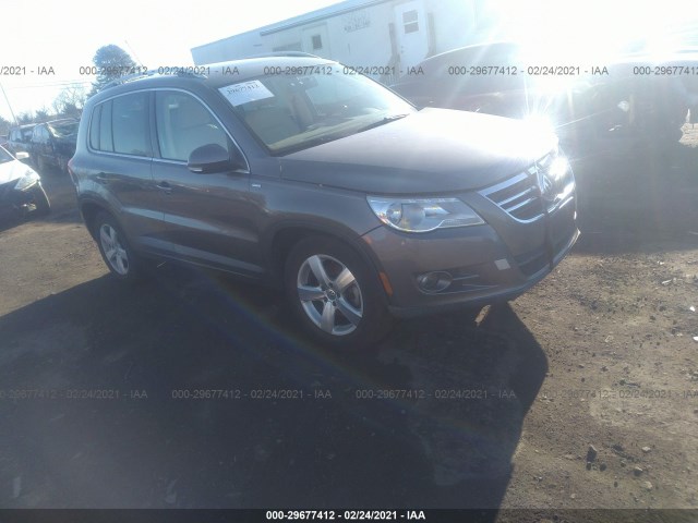 WVGBV7AX7AW514310  volkswagen tiguan 2010 IMG 0