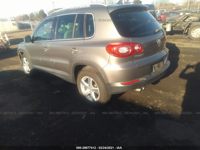 WVGBV7AX7AW514310  volkswagen tiguan 2010 IMG 2