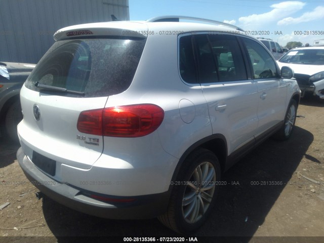 WVGBV7AX1CW545829  volkswagen tiguan 2012 IMG 3