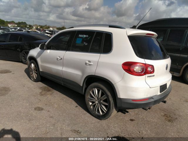 WVGBV7AX7BW536924  volkswagen tiguan 2011 IMG 2