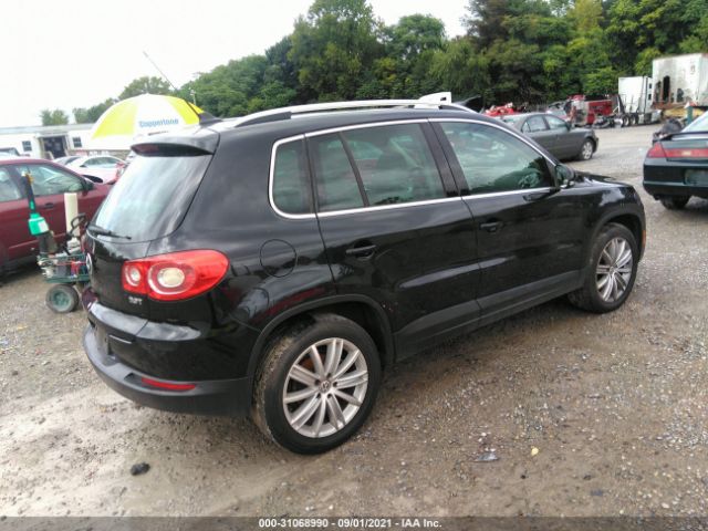 WVGBV7AXXBW538764  volkswagen tiguan 2011 IMG 3