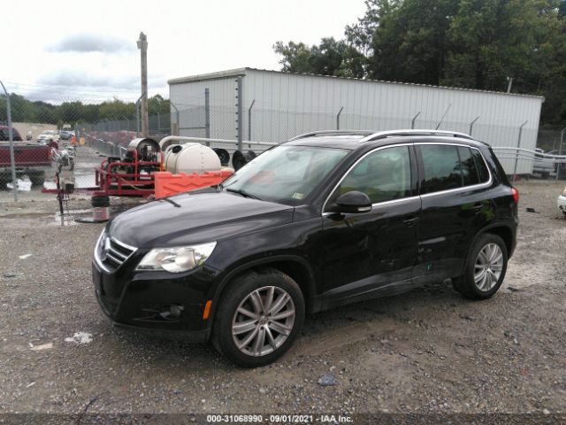 WVGBV7AXXBW538764  volkswagen tiguan 2011 IMG 5