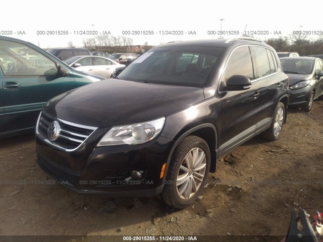 WVGBV7AXXBW569433  volkswagen tiguan 2011 IMG 1