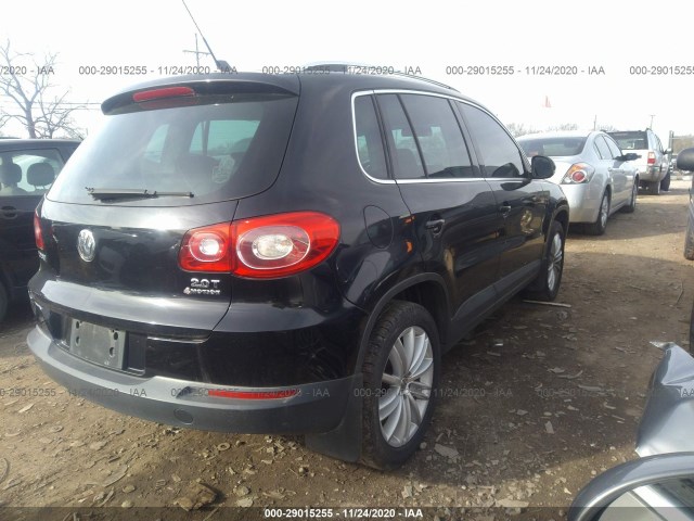 WVGBV7AXXBW569433  volkswagen tiguan 2011 IMG 3