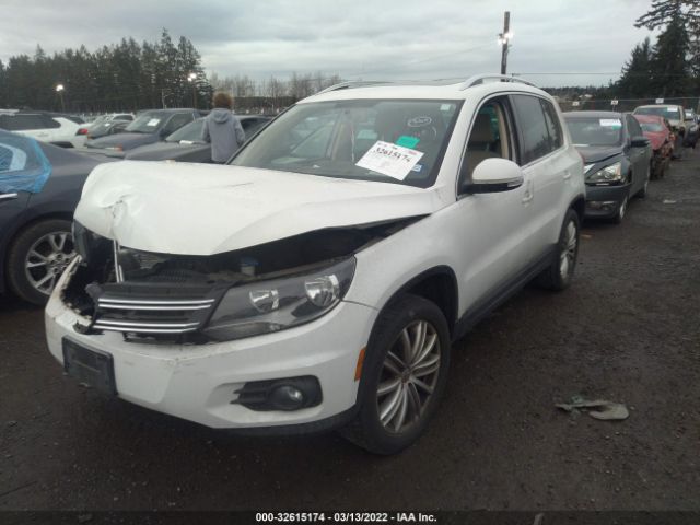 WVGBV3AX8DW055043  volkswagen tiguan 2013 IMG 1