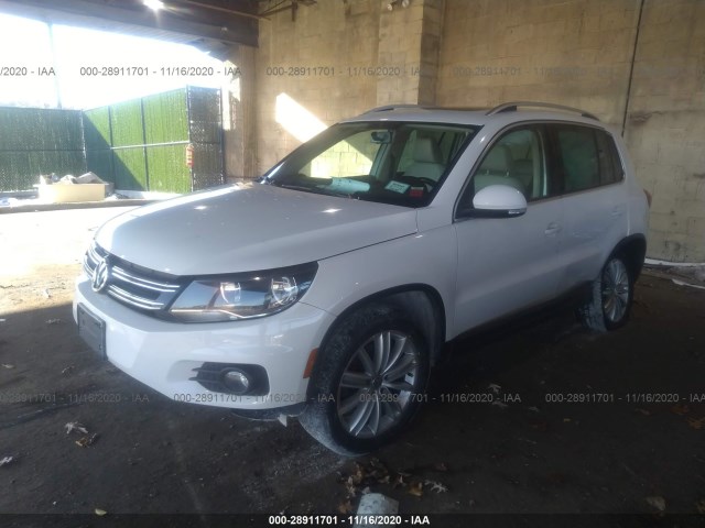 WVGBV7AX0CW608922  volkswagen tiguan 2012 IMG 1