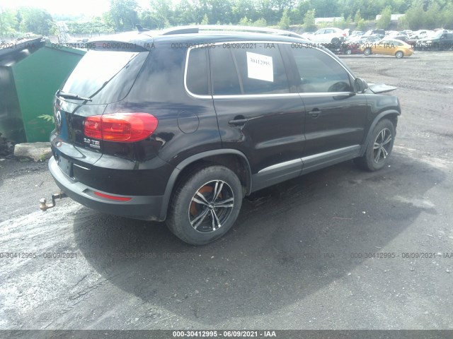 WVGBV7AX1CW593475  volkswagen tiguan 2012 IMG 3