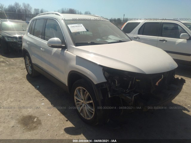 WVGBV7AX1DW516803  volkswagen tiguan 2013 IMG 0